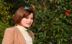 李玉超司令被抓了吗